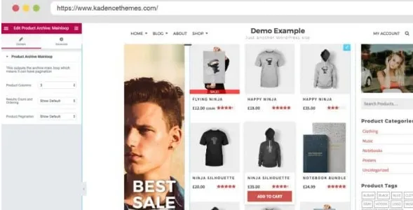 Kadence for WooCommerce and Elementor Pro