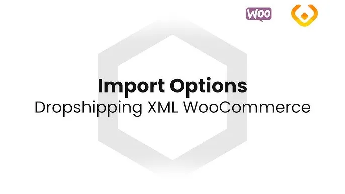 WPDesk Dropshipping XML Import Products for WooCommerce