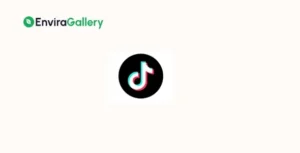 Envira Gallery TikTok Addon