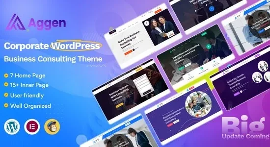 Aggen – Business Consulting Theme
