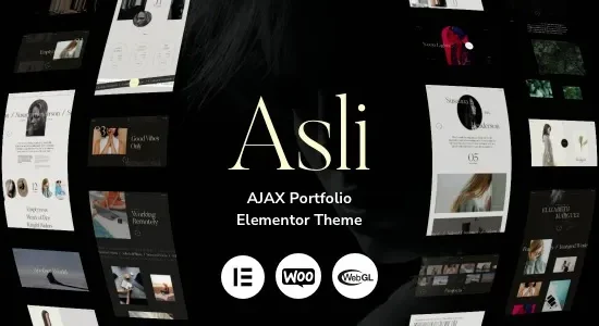 Asli - AJAX Portfolio Elementor WordPress Theme
