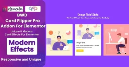 BWD Card Flipper Pro Addon For Elementor