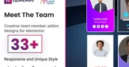 BWD Meet the Team Elementor Addon