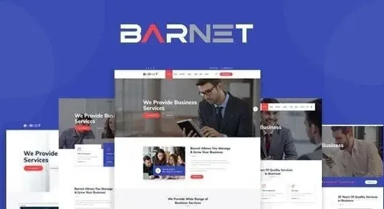 Barnet Business Consulting WordPress Theme