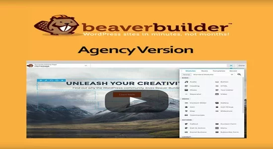 Beaver-Builder-Plugin-–-Agency-V