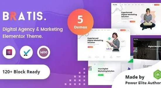 Bratis Digital Marketing WordPress Theme