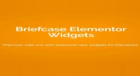 Briefcase-Elementor-Widgets