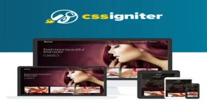 CSS-Igniter-Beaute-WordPress-The