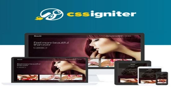 CSS-Igniter-Beaute-WordPress-The