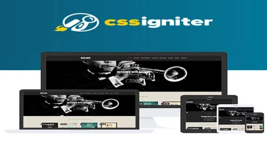 CSS-Igniter-Berliner-WordPress-T