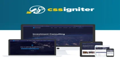 CSS-Igniter-Blockchain-WordPress