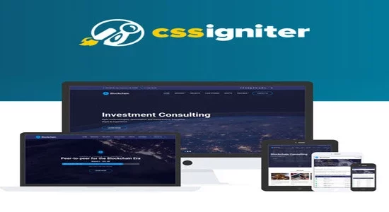 CSS-Igniter-Blockchain-WordPress