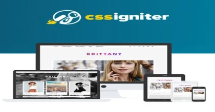 CSS-Igniter-Brittany-WordPress-T