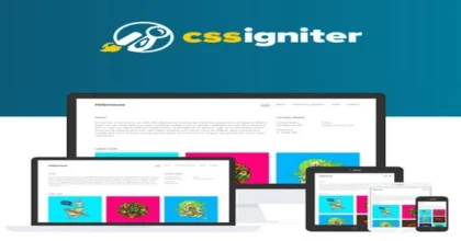 CSS-Igniter-Hellomouse-WordPress