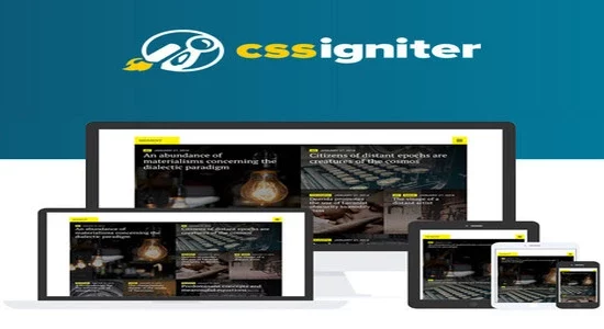 CSS-Igniter-Moment-WordPress-The