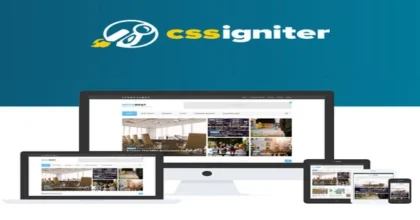 CSS-Igniter-Noozbeat-WordPress-T