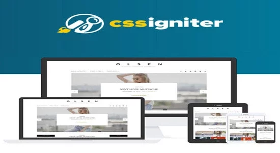 CSS-Igniter-Olsen-WordPress-Them