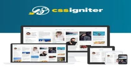 CSS-Igniter-Pinfinity-WordPress-