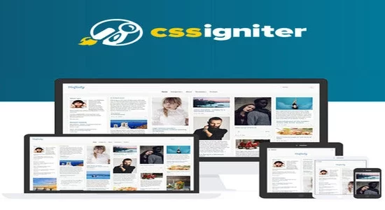 CSS-Igniter-Pinfinity-WordPress-