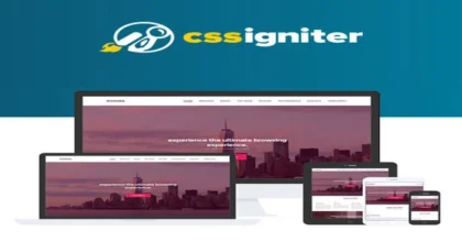 CSS-Igniter-Roxima-WordPress-The