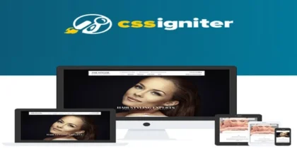 CSS-Igniter-The-Styler-WordPress