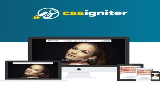 CSS-Igniter-The-Styler-WordPress