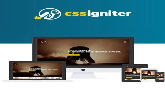 CSS-Igniter-Vignette-WordPress-T