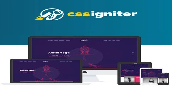 CSS-Igniter-Vigour-WordPress-The