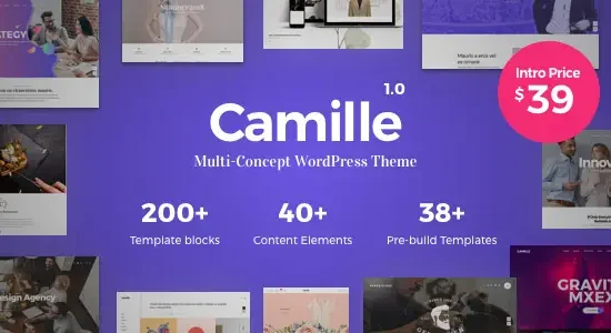 Camille Multi-Concept WordPress Theme