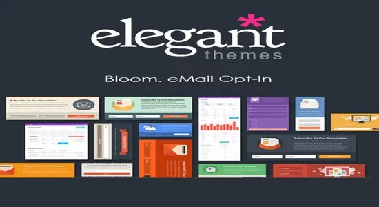 Elegant-Themes-Bloom-Email-Opt-I