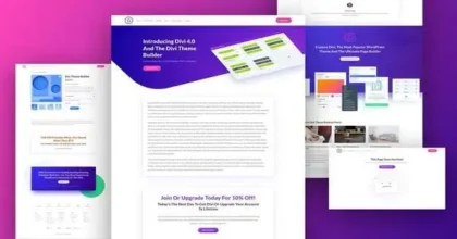 Elegant-Themes-Divi-WordPress-Th