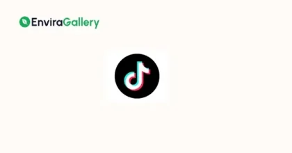 Envira Gallery TikTok Addon