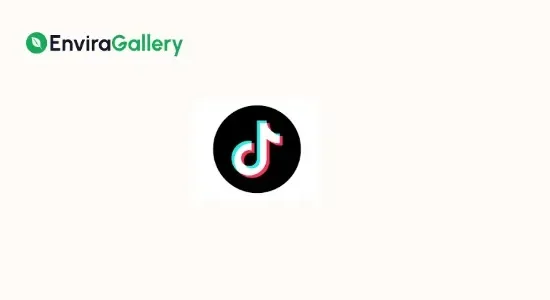 Envira Gallery TikTok Addon