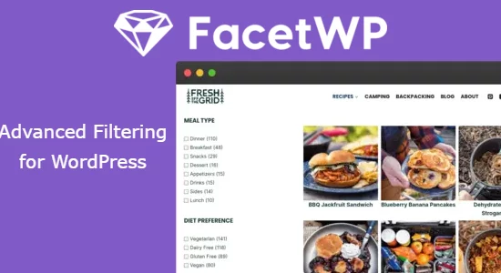 FacetWP-–-Advanced-Filtering-for-WordPress