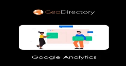 GeoDirectory-Google-Analytics