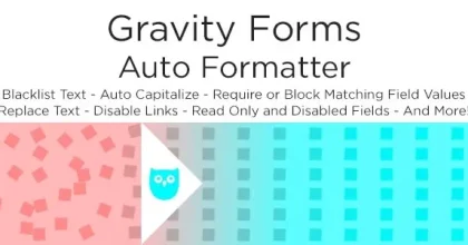 Gravity Forms Auto Formatter