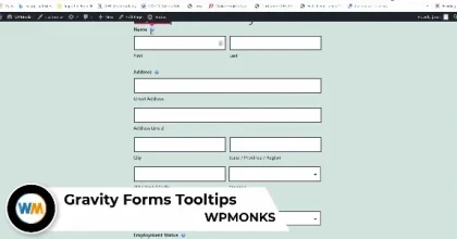 Gravity Forms Tooltips WPMonks 4.7