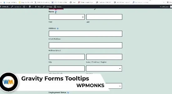 Gravity Forms Tooltips WPMonks 4.7