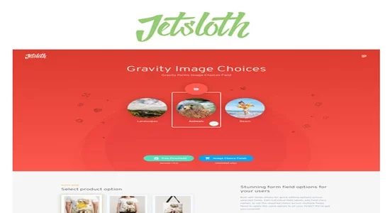 Jetsloth-Gravity-Forms-Image-Choices