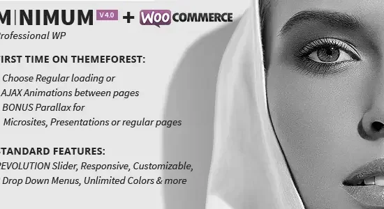 MINIMUM-Professional-WordPress-Theme