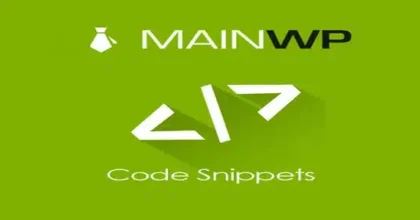 Main-Wp-Code-Snippets