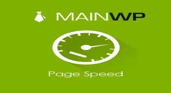 MainWp-Page-Speed