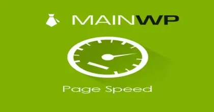 MainWp-Page-Speed