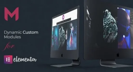 Modulify 1.6 – Modules Addon for Elementor Page Builder