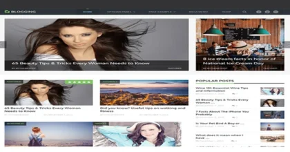 MyThemeShop-Blogging-WordPress-Theme