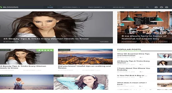 MyThemeShop-Blogging-WordPress-Theme