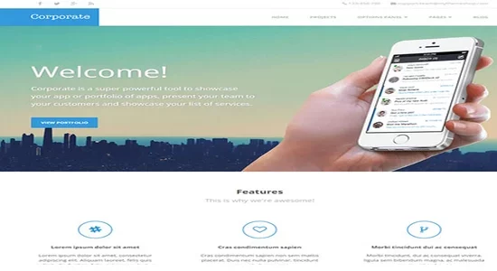 MyThemeShop-Corporate-WordPress-Theme