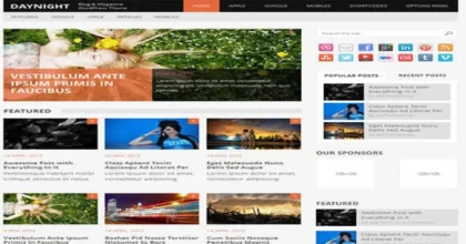 MyThemeShop-Daynight-WordPress-Theme