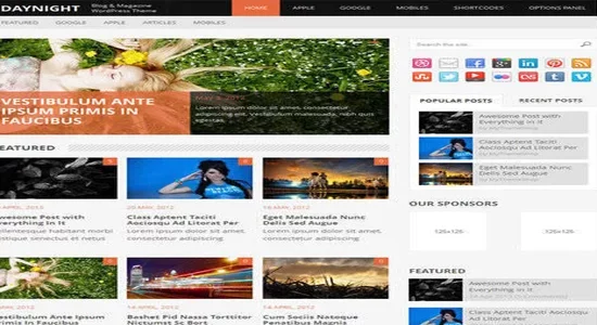 MyThemeShop-Daynight-WordPress-Theme