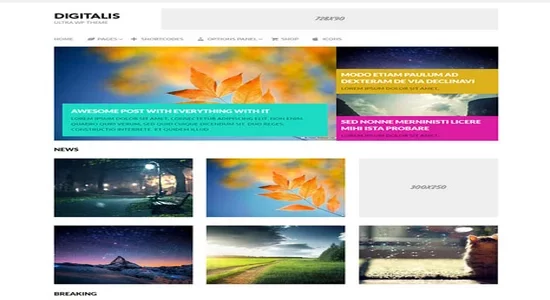 MyThemeShop-Digitalis-WordPress-Theme